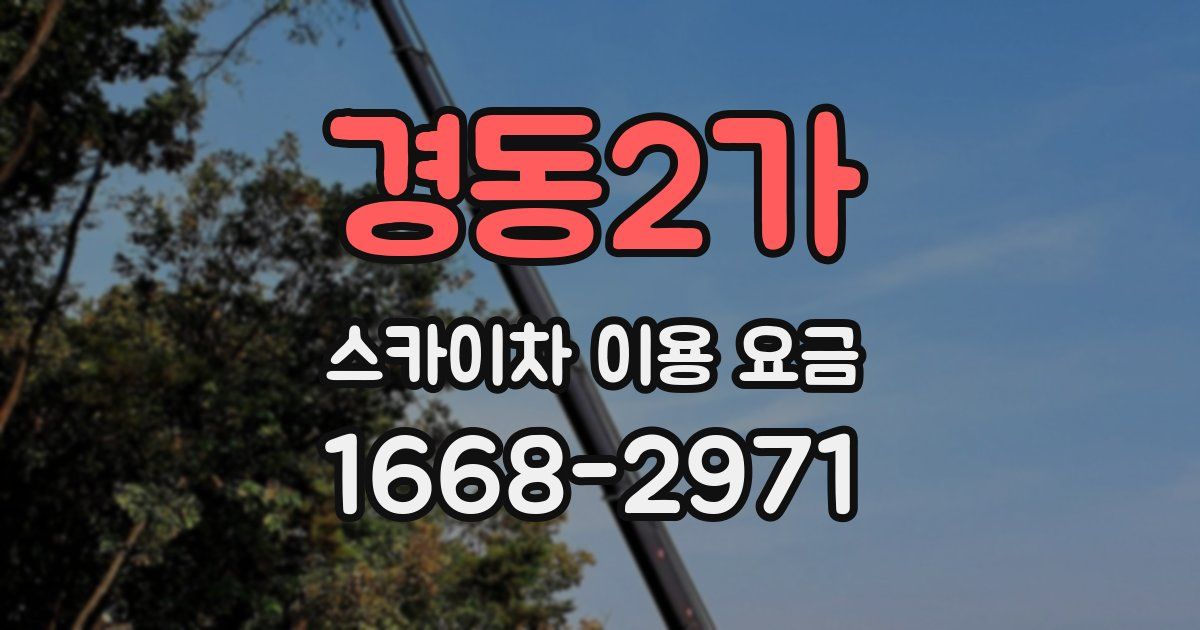 경동2가 스카이차 이용 요금