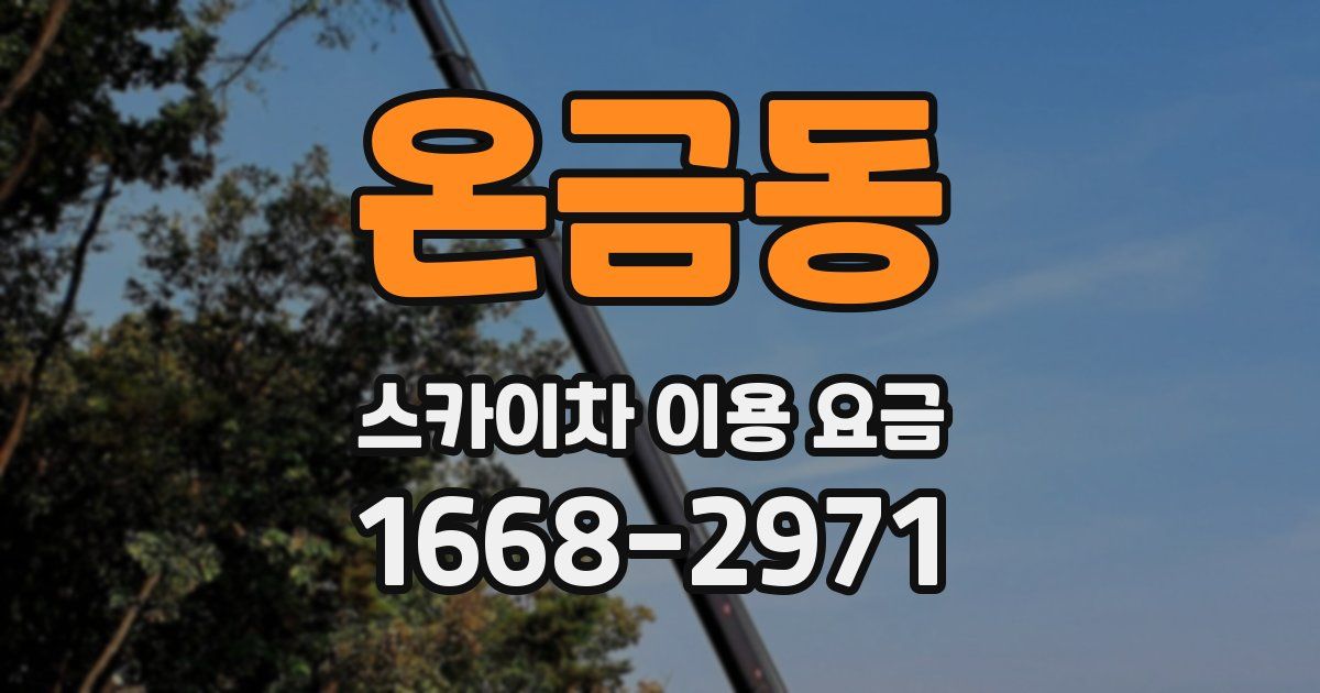온금동 스카이차 이용 요금