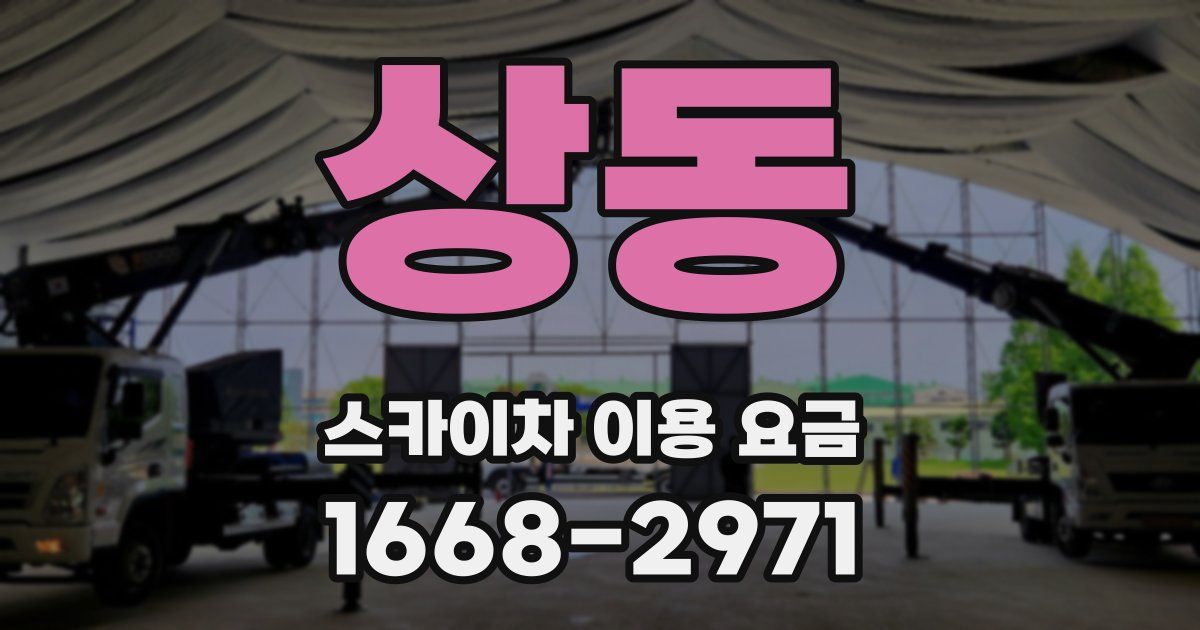 상동 스카이차 이용 요금