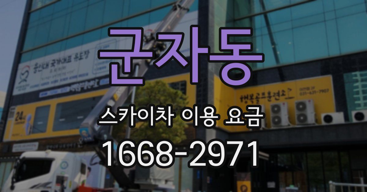 군자동 스카이차 이용 요금