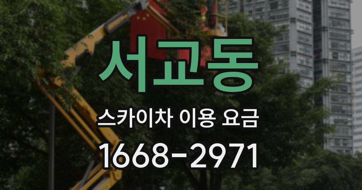 서교동 스카이차 이용 요금
