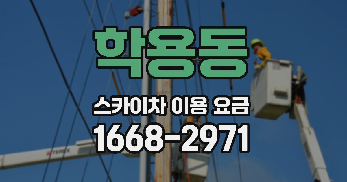 학용동 스카이차 이용 요금