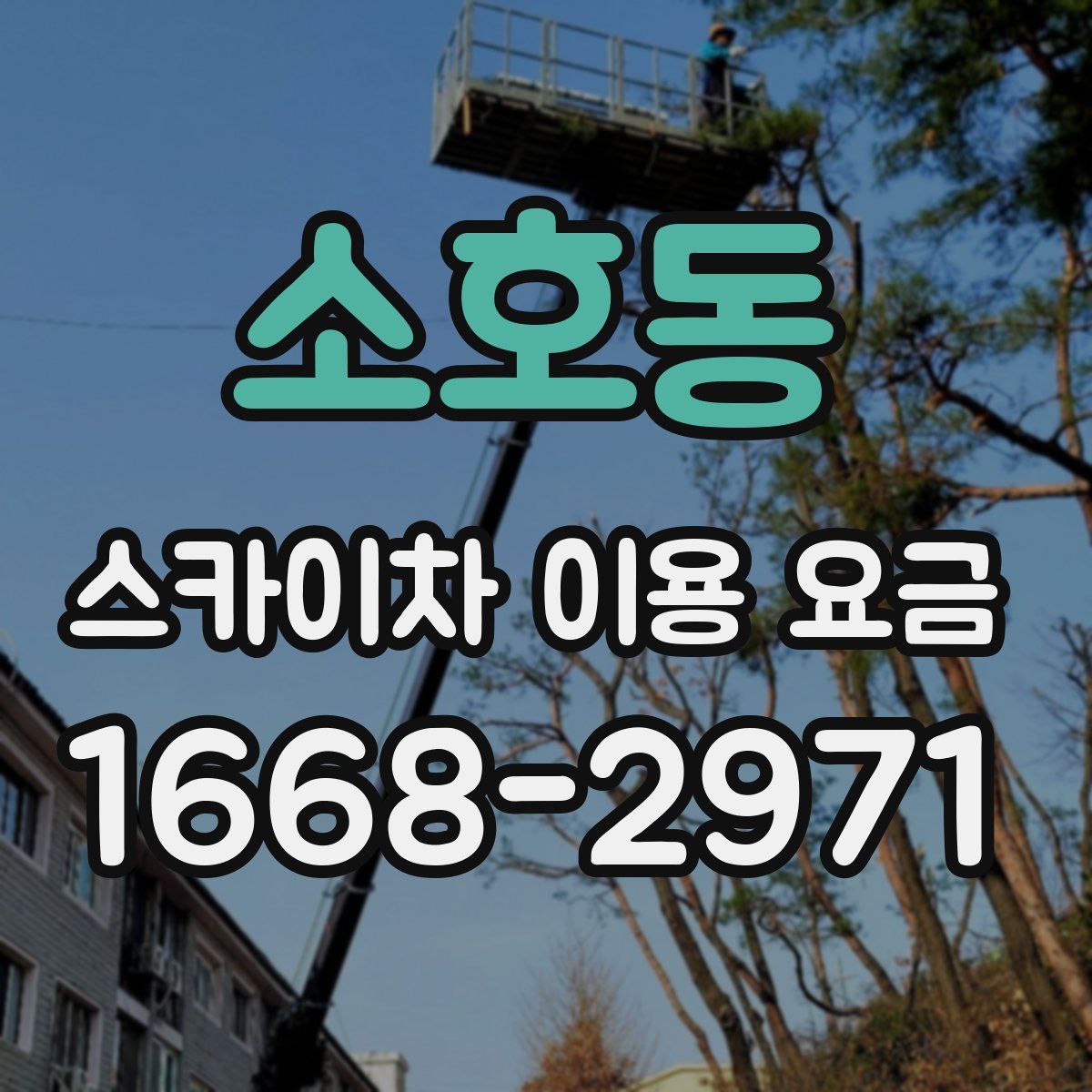 소호동 스카이차 이용 요금