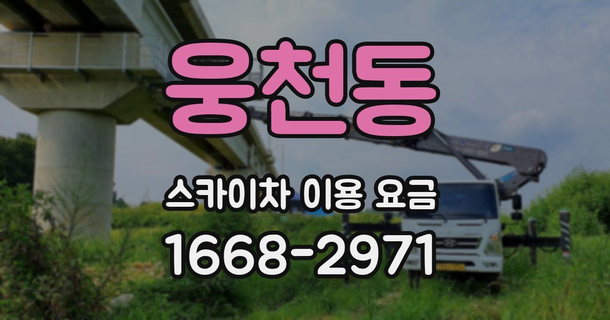 웅천동 스카이차 이용 요금