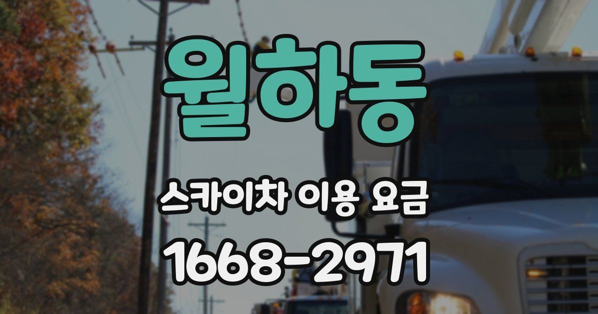 월하동 스카이차 이용 요금