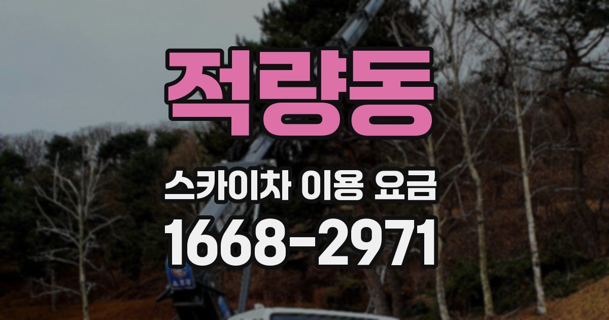 적량동 스카이차 이용 요금