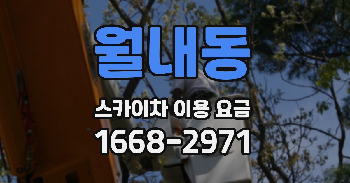 월내동 스카이차 이용 요금