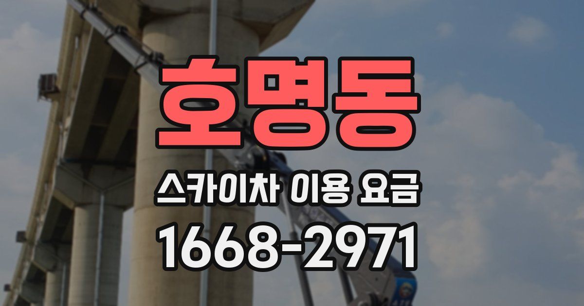 호명동 스카이차 이용 요금
