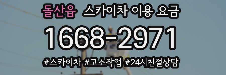 돌산읍 스카이차 이용 요금