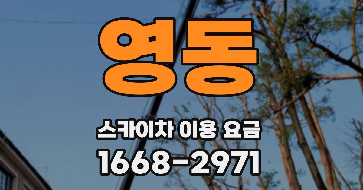 영동 스카이차 이용 요금