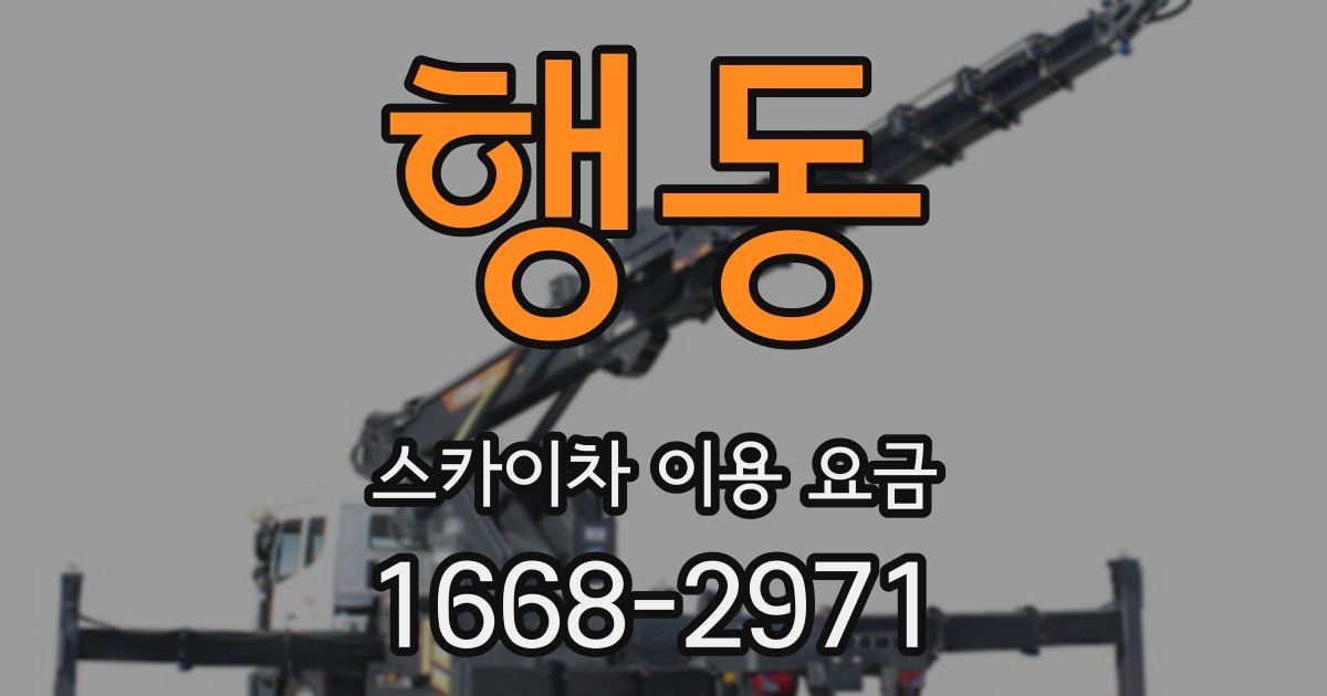 행동 스카이차 이용 요금