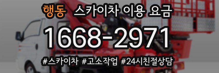 행동 스카이차 이용 요금