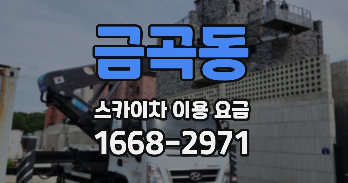 금곡동 스카이차 이용 요금