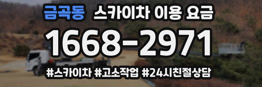 금곡동 스카이차 이용 요금