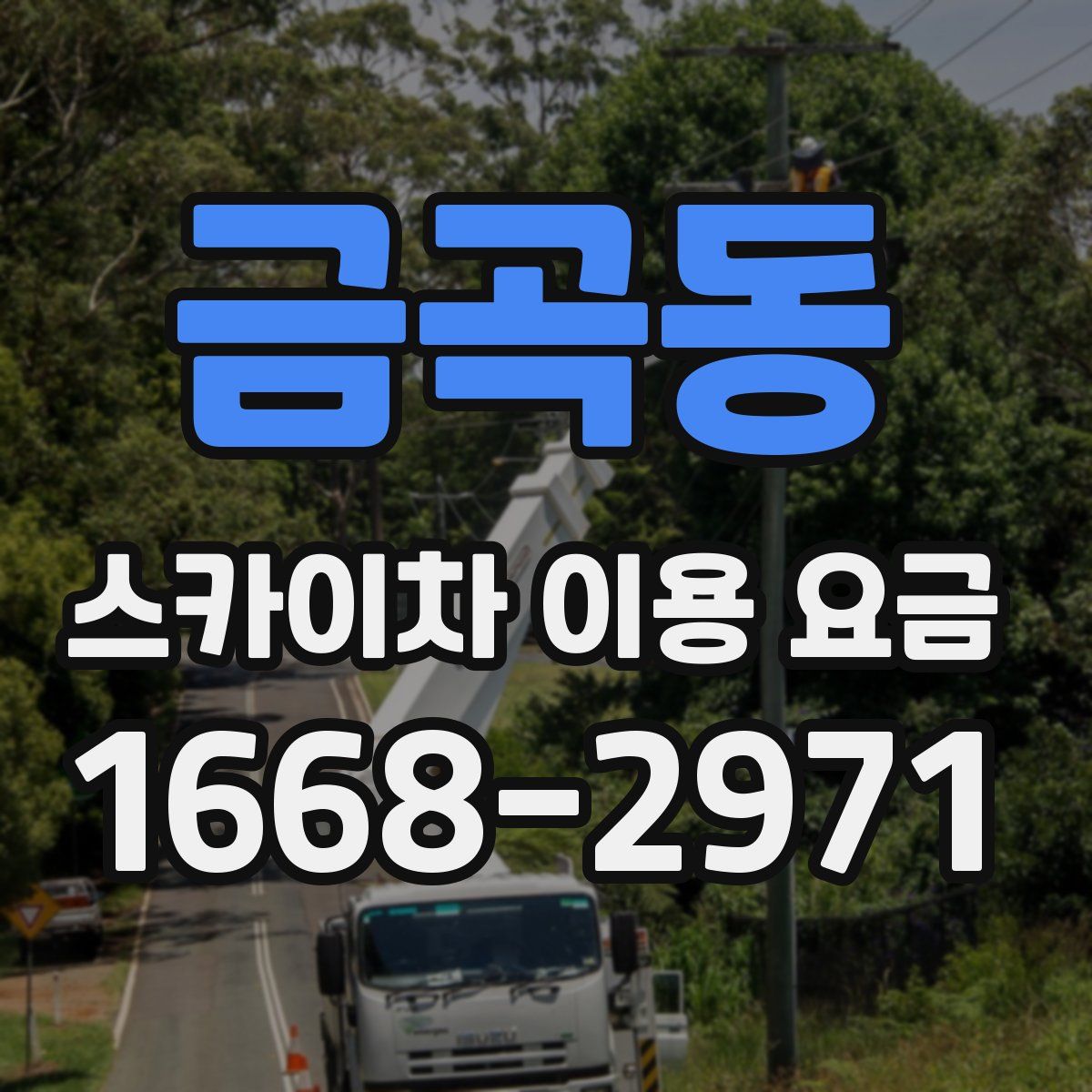 금곡동 스카이차 이용 요금
