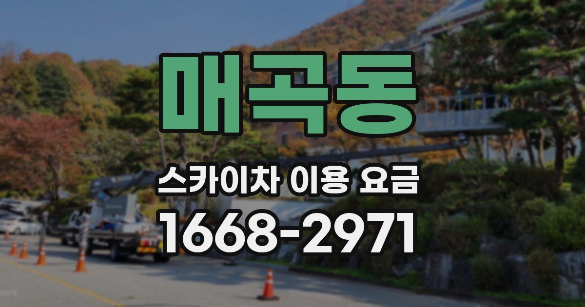 매곡동 스카이차 이용 요금