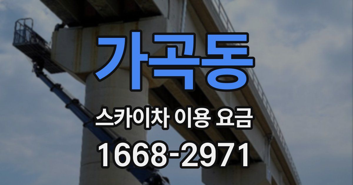 가곡동 스카이차 이용 요금
