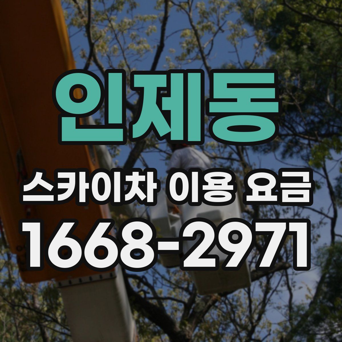 인제동 스카이차 이용 요금
