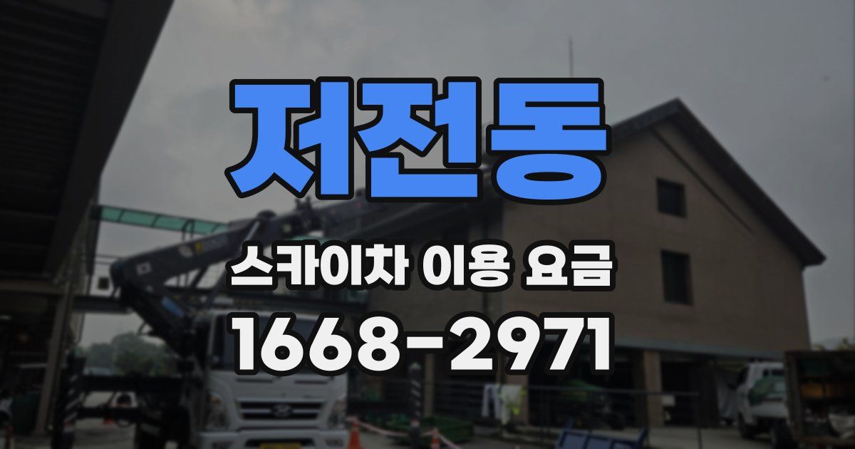 저전동 스카이차 이용 요금