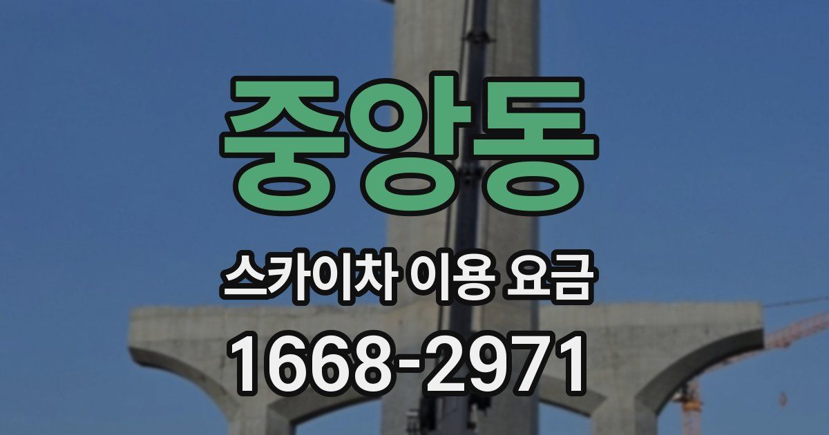 중앙동 스카이차 이용 요금