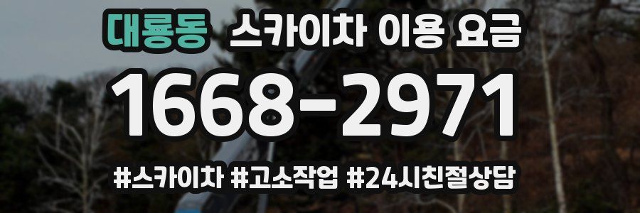 대룡동 스카이차 이용 요금