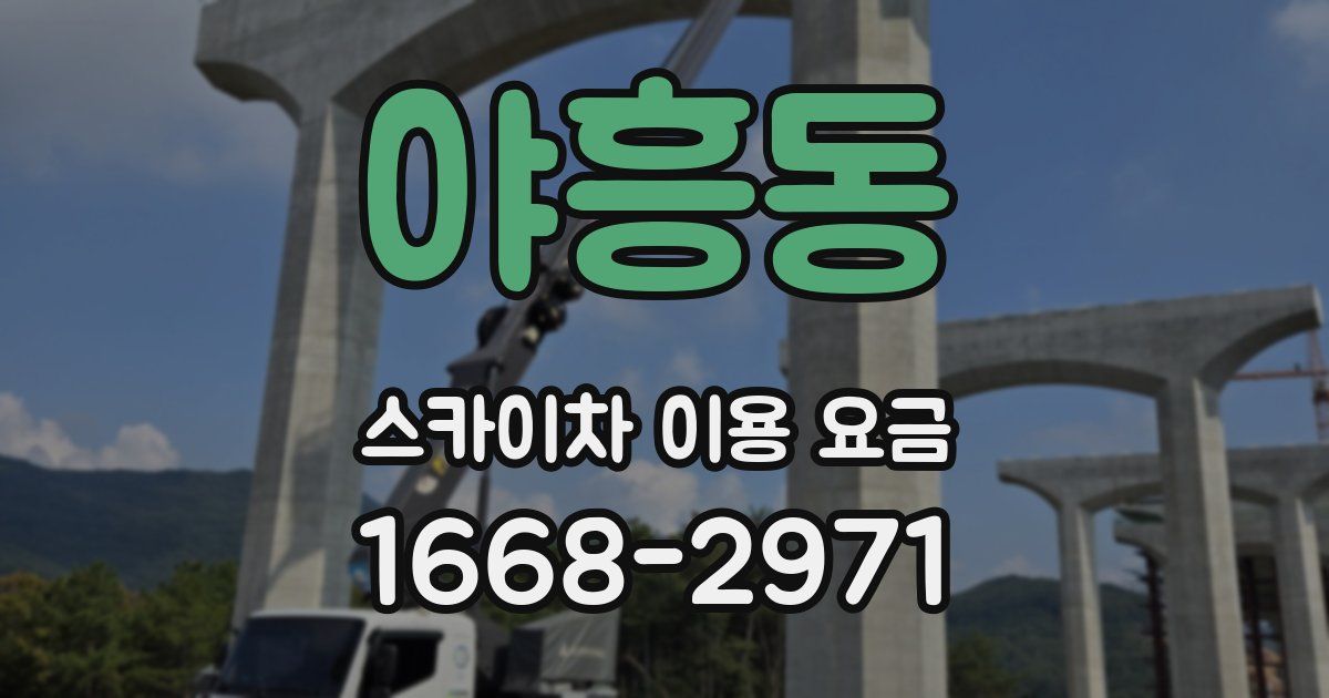 야흥동 스카이차 이용 요금