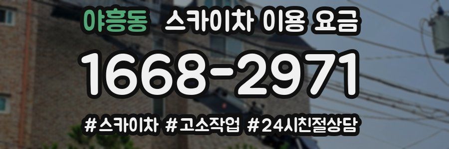야흥동 스카이차 이용 요금