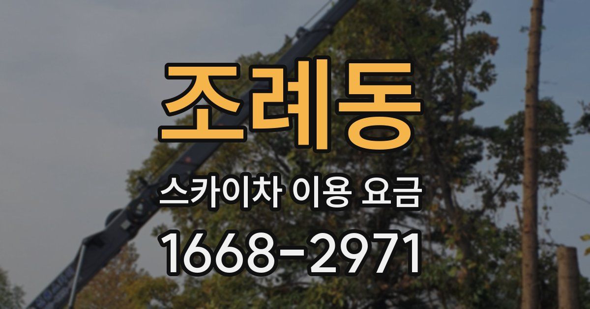 조례동 스카이차 이용 요금
