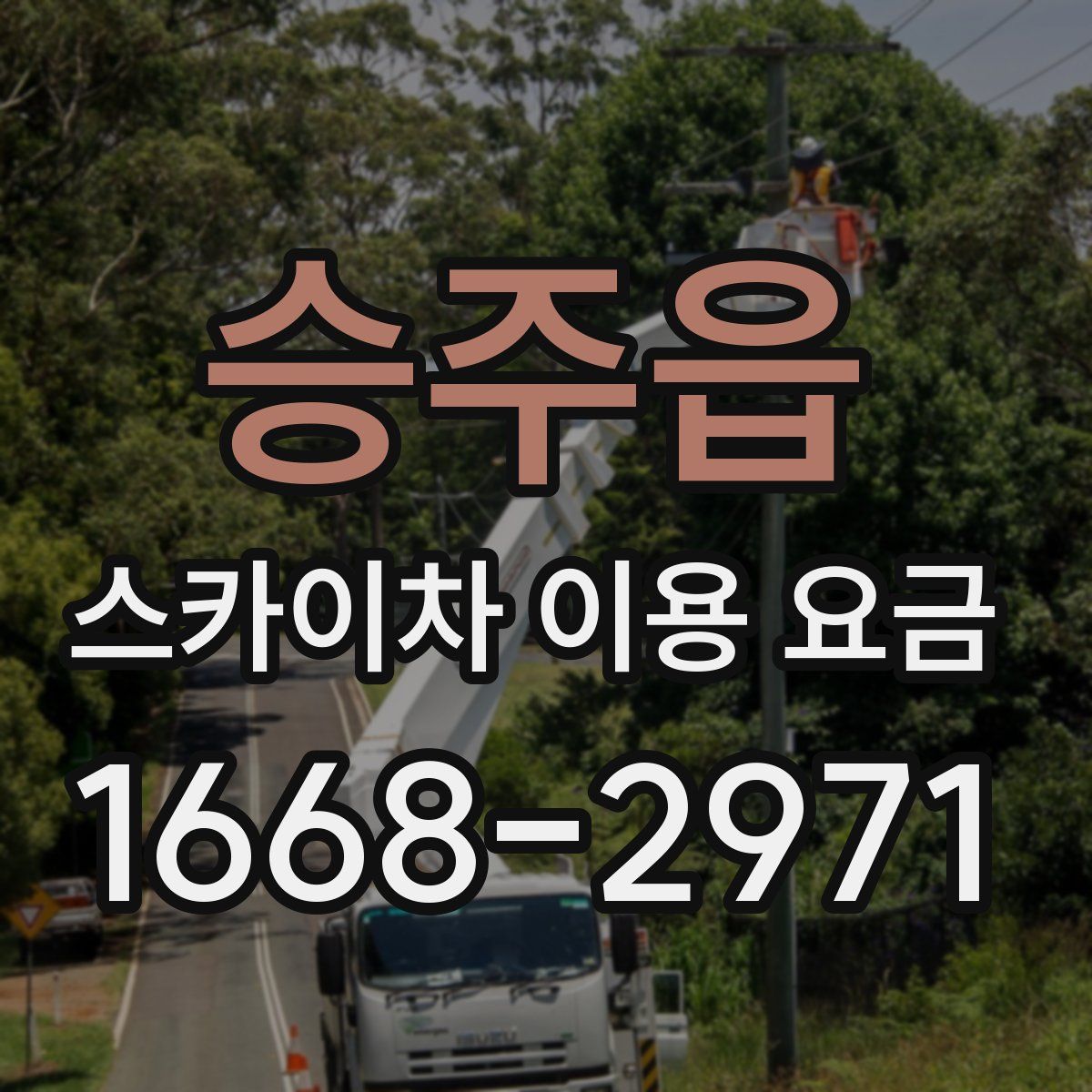 승주읍 스카이차 이용 요금