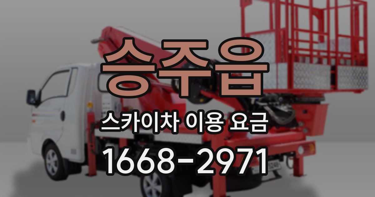 승주읍 스카이차 이용 요금