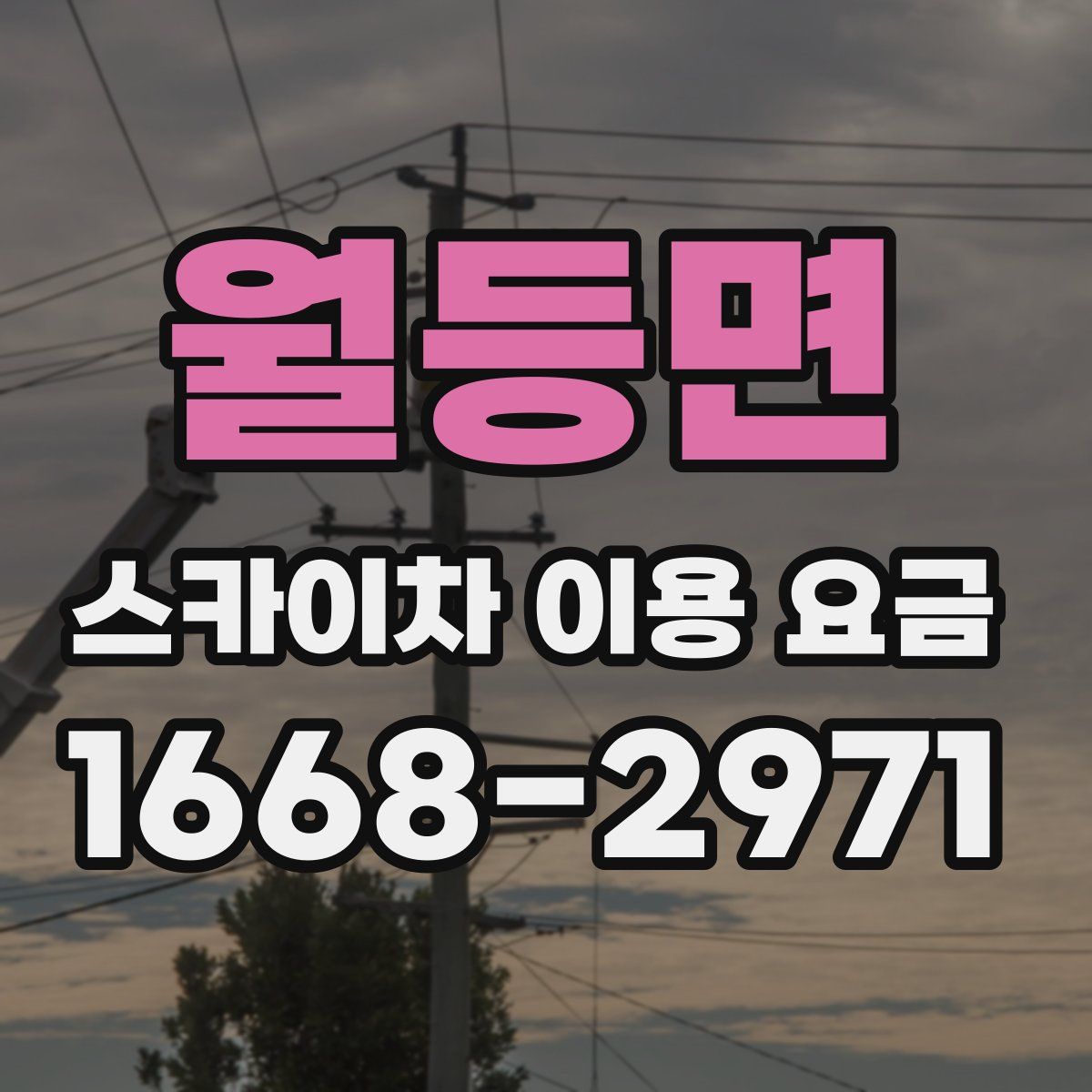 월등면 스카이차 이용 요금