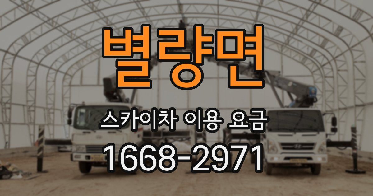 별량면 스카이차 이용 요금