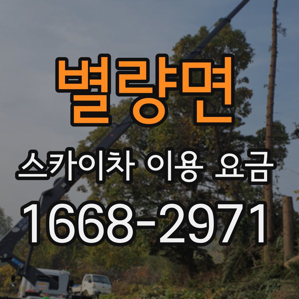 별량면 스카이차 이용 요금