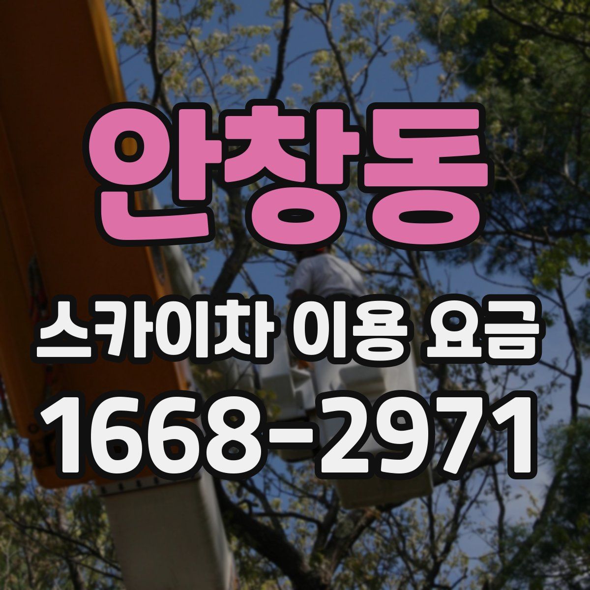 안창동 스카이차 이용 요금