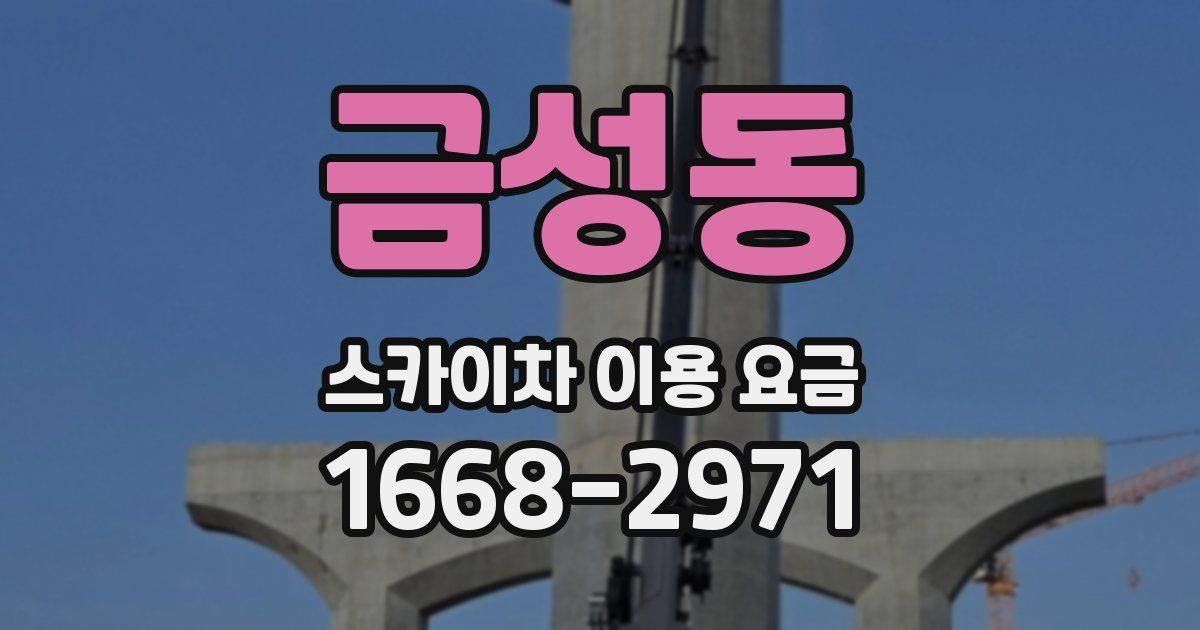 금성동 스카이차 이용 요금