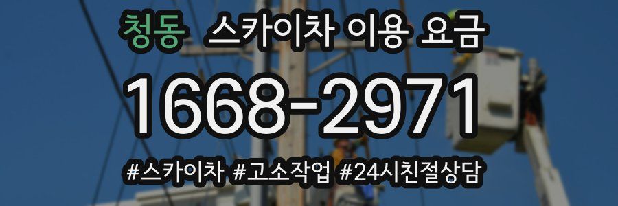 청동 스카이차 이용 요금
