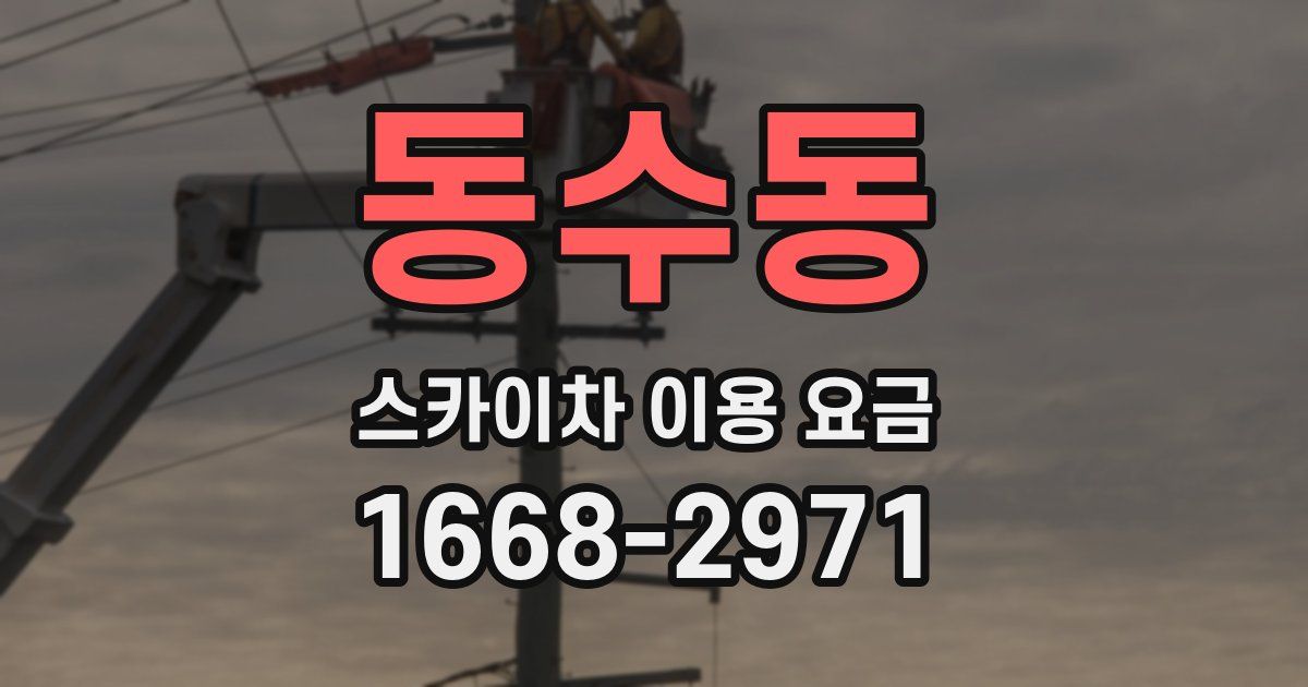 동수동 스카이차 이용 요금