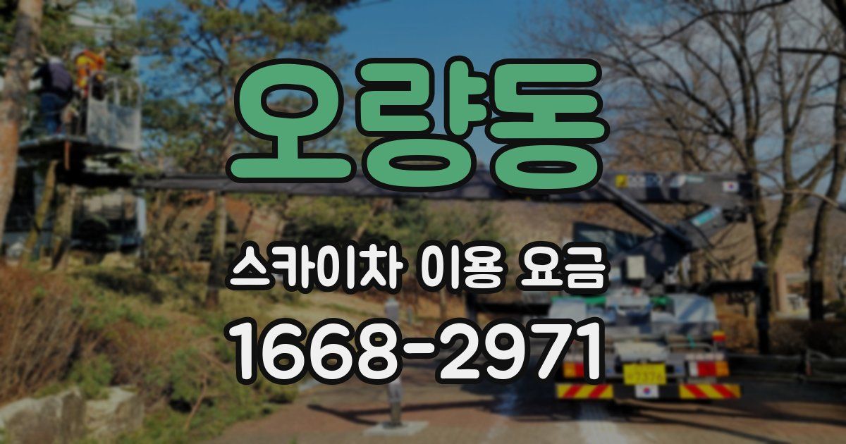 오량동 스카이차 이용 요금