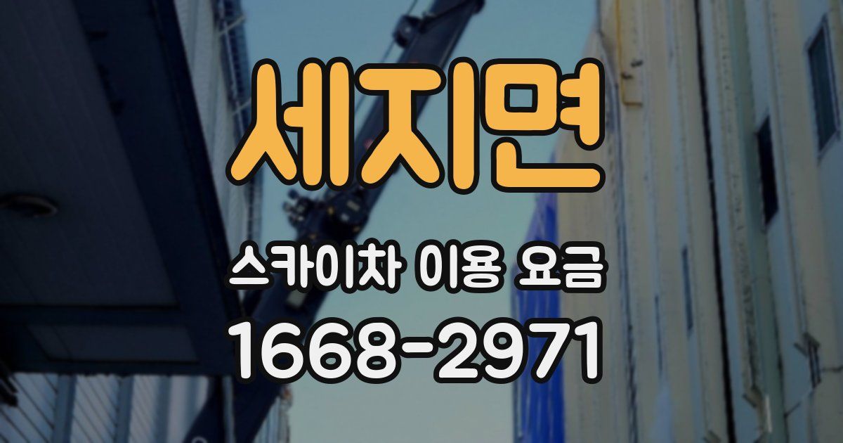 세지면 스카이차 이용 요금