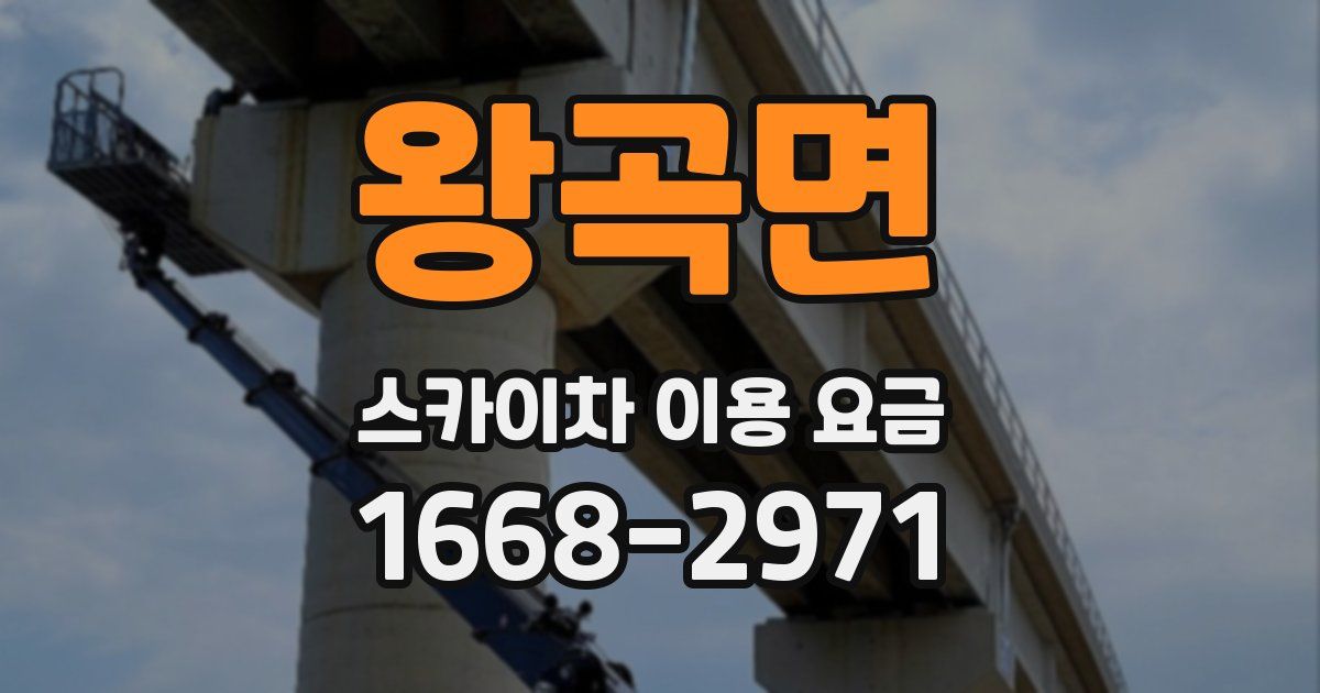 왕곡면 스카이차 이용 요금