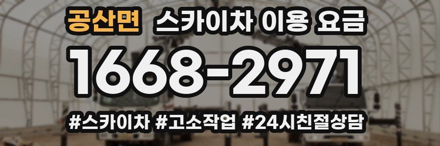 공산면 스카이차 이용 요금
