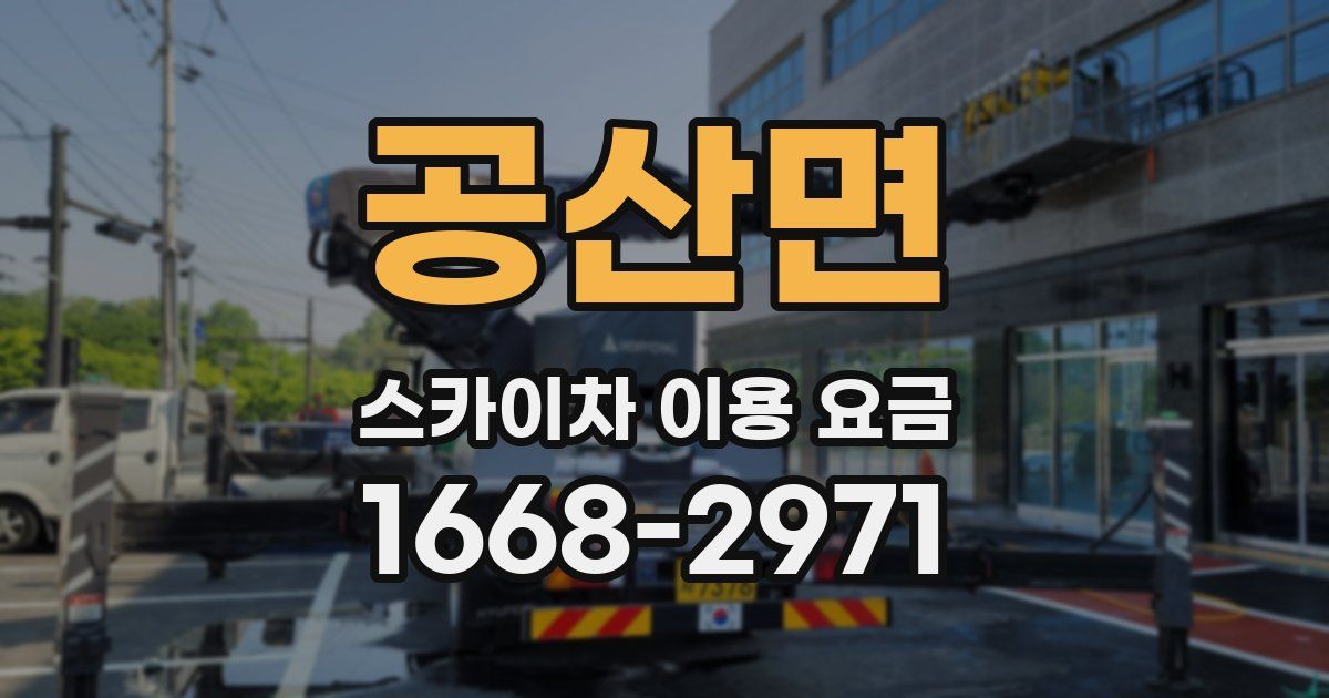 공산면 스카이차 이용 요금