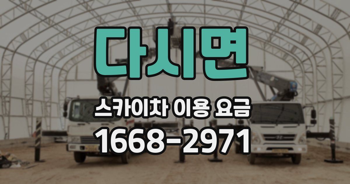 다시면 스카이차 이용 요금