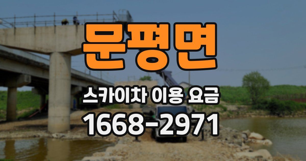 문평면 스카이차 이용 요금