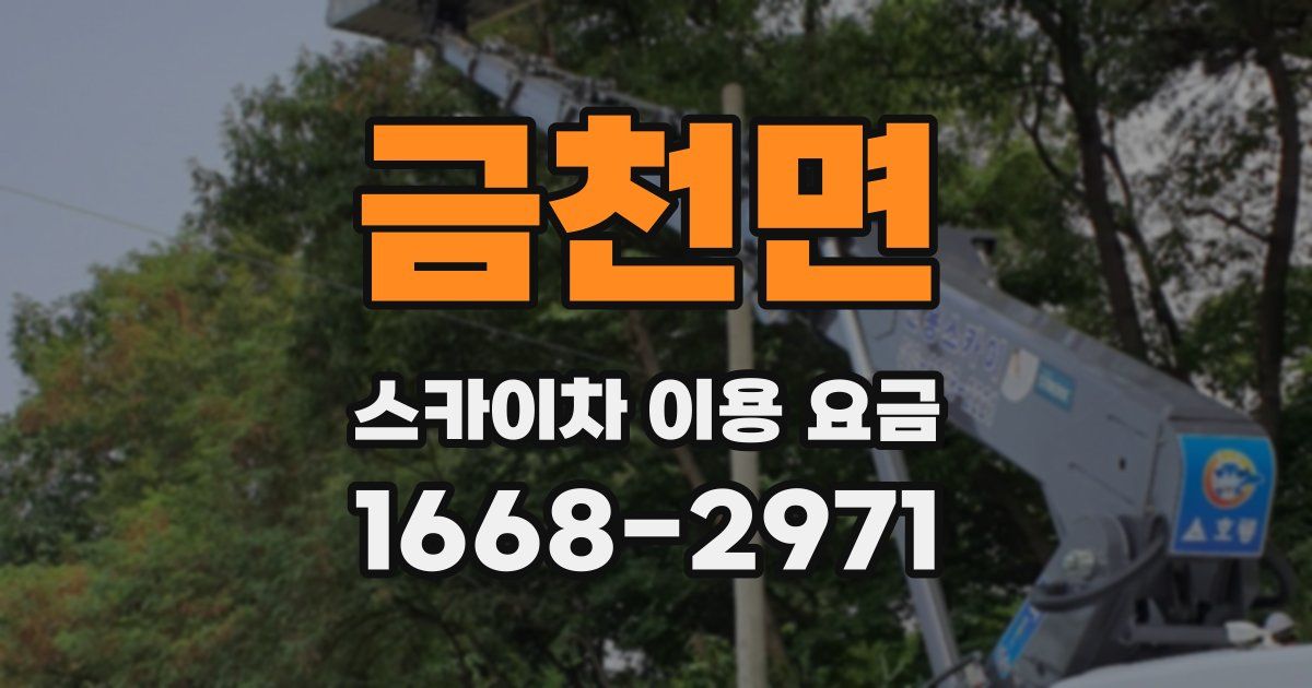 금천면 스카이차 이용 요금