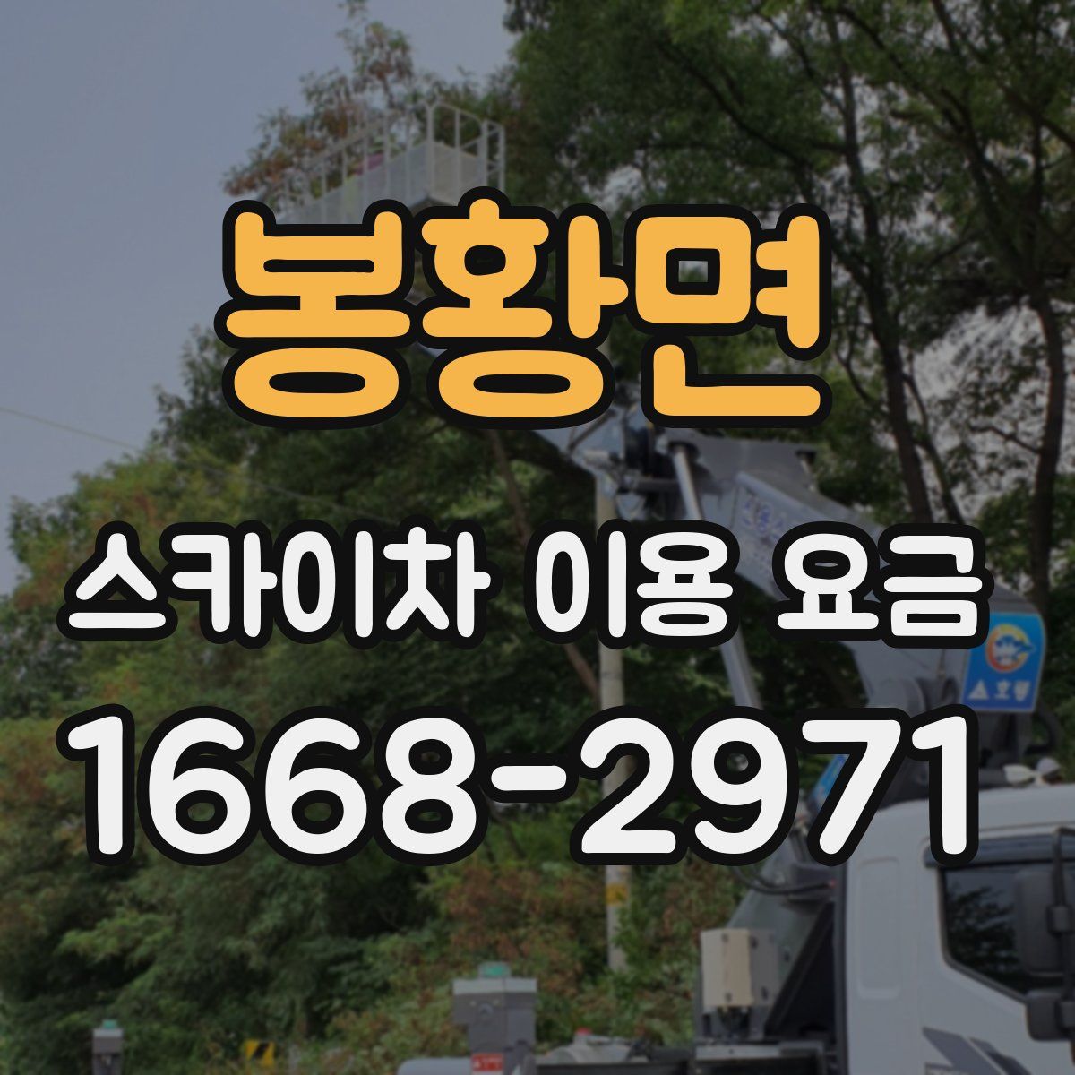 봉황면 스카이차 이용 요금