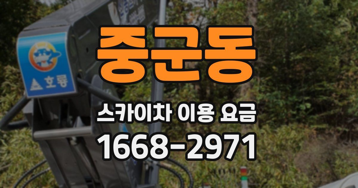 중군동 스카이차 이용 요금