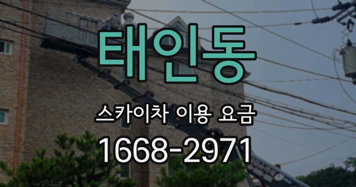 태인동 스카이차 이용 요금