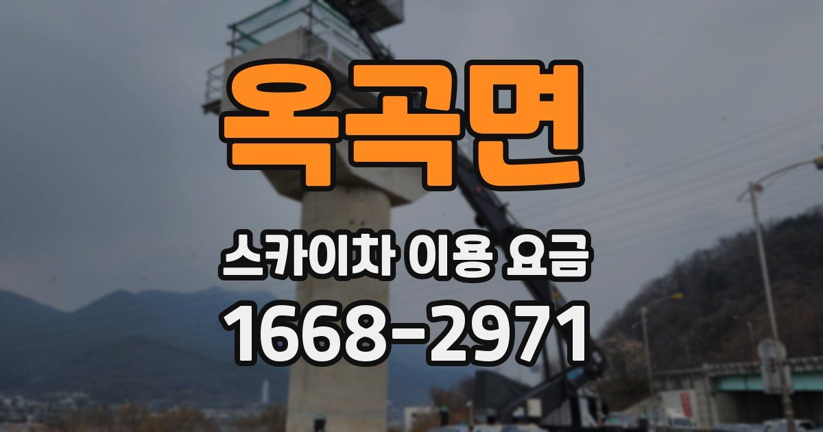 옥곡면 스카이차 이용 요금