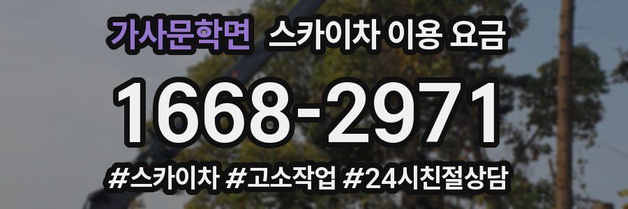 가사문학면 스카이차 이용 요금